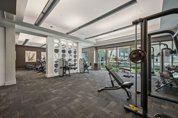 A gym with a variety of equipment including a squat rack and a bench.